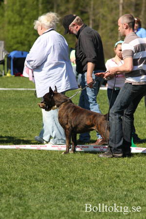 IMG_9155
