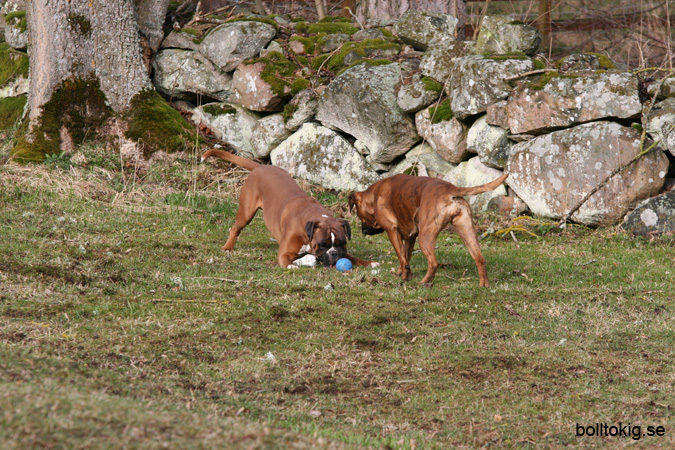 IMG_3828